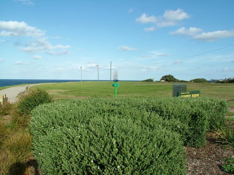 18 Wolsley Road, Coogee NSW 2034