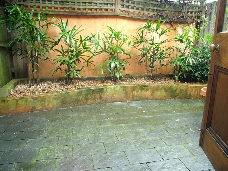 8 Woodstock Street, Bondi Junction NSW 2022