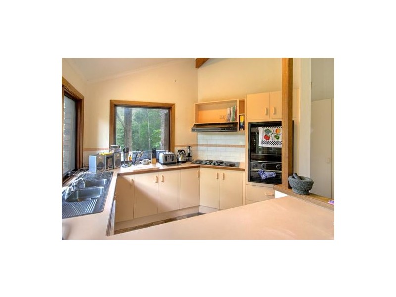 125 Hillside Road, Avoca Beach NSW 2251