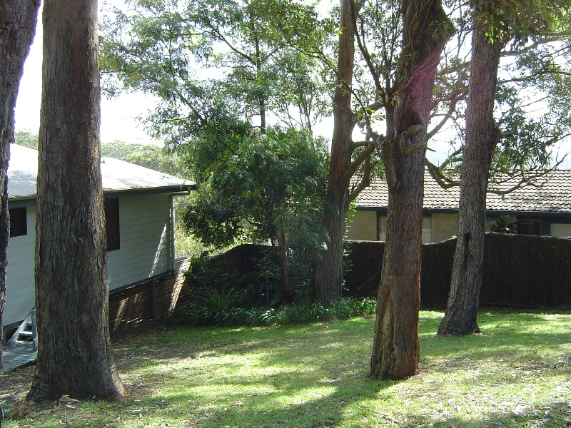 35 Cabbage Tree Ave, Avoca Beach NSW 2251