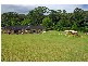 11b Stimsons Lane, Tumbi Umbi NSW 2261