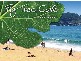 201 The Round Drive, Avoca Beach NSW 2251