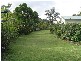 31/160 The Round Dr, Avoca Beach NSW 2251