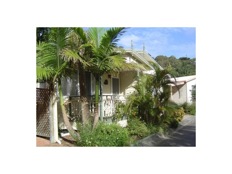 31/160 The Round Dr, Avoca Beach NSW 2251