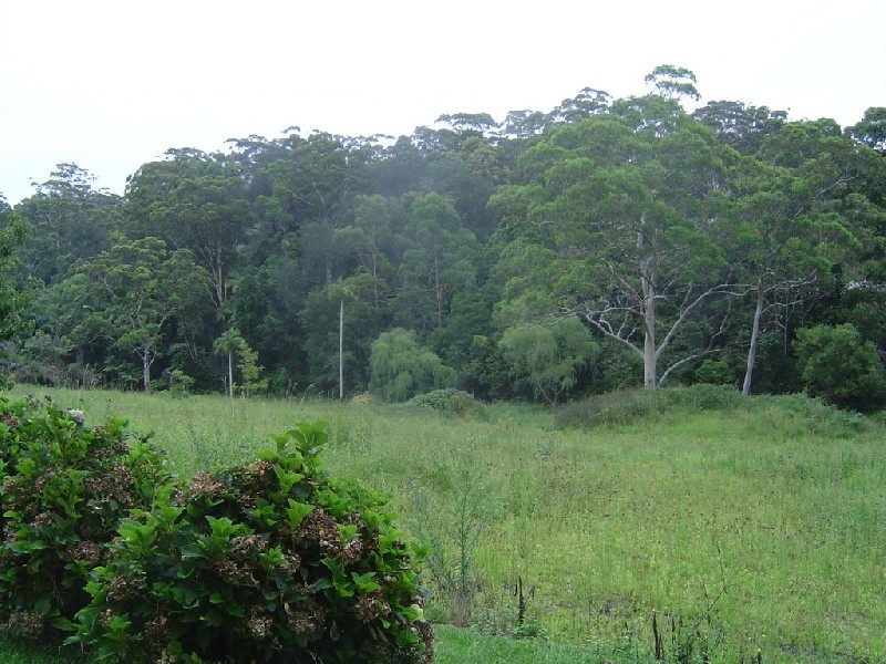 314 Avoca Drive, Avoca Beach NSW 2251