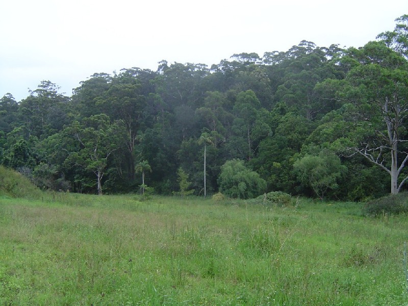 314 Avoca Drive, Avoca Beach NSW 2251