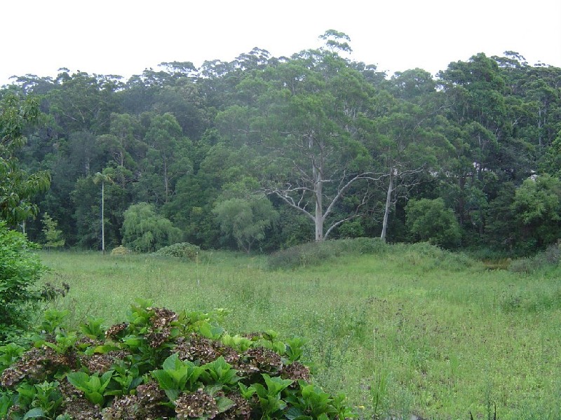 314 Avoca Drive, Avoca Beach NSW 2251