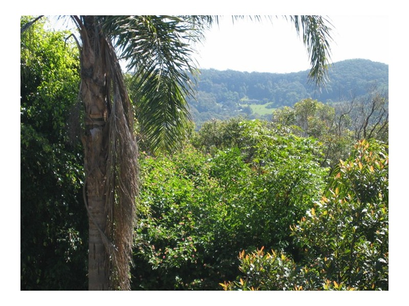 51 Forresters Beach Road, Forresters Beach NSW 2260