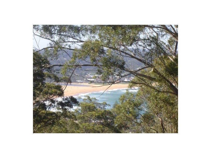 26 Arden Av, Avoca Beach NSW 2251