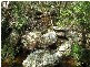 LOT 23 CALABASH BAY, Berowra Waters NSW 2082