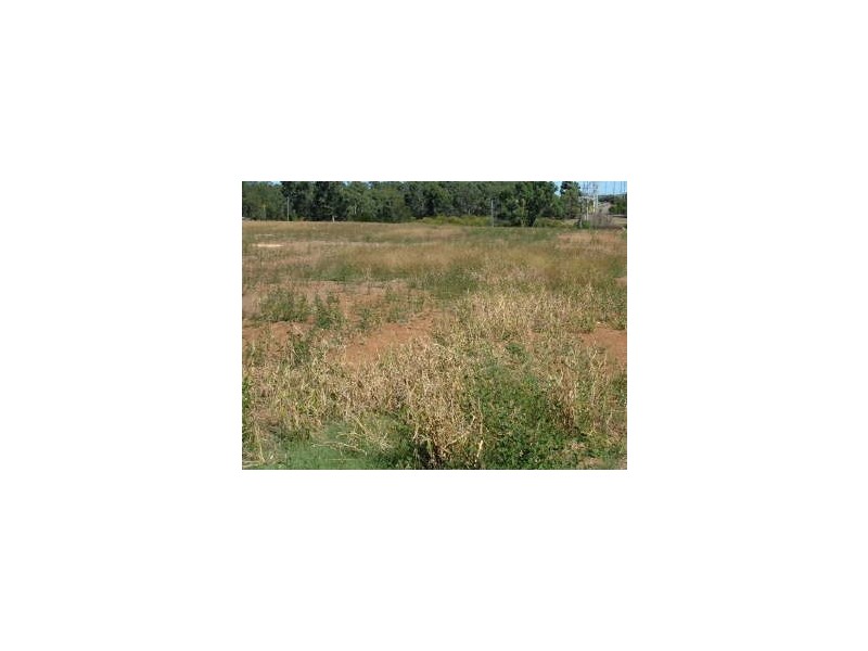 4 DALMENY DRIVE, Prestons NSW 2170