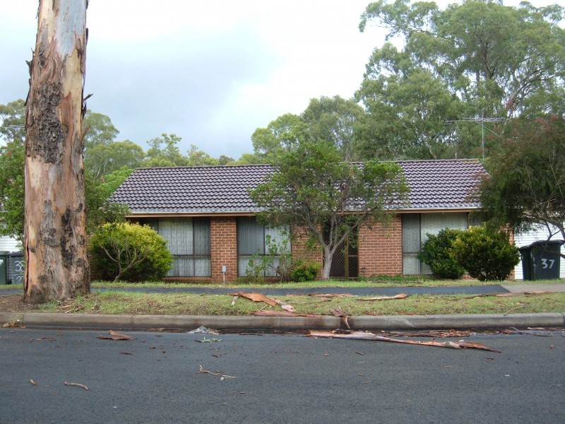 Macquarie Fields NSW 2564