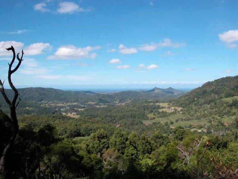 Lot 1 Left Bank Road, Mullumbimby NSW 2482