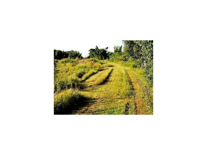 3 Poplar Street, Mullumbimby NSW 2482