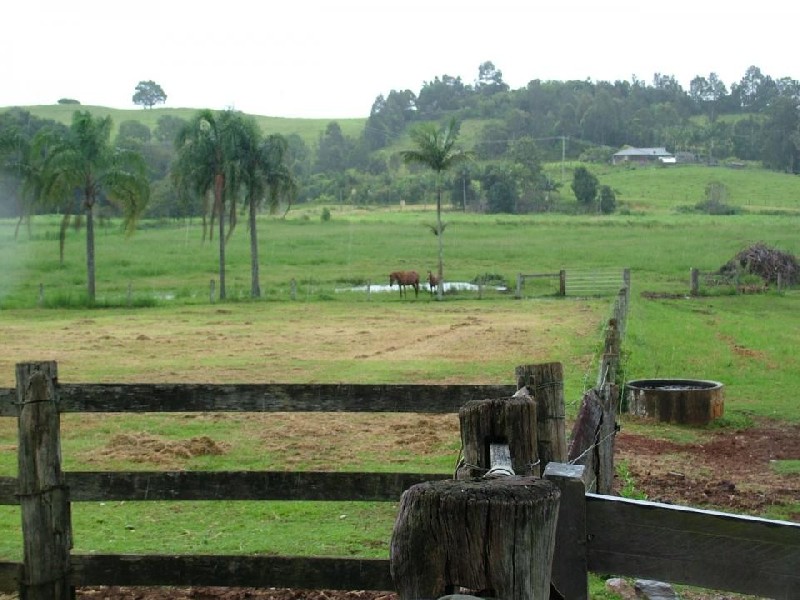 50 Myocum Downs Drive, Myocum NSW 2481