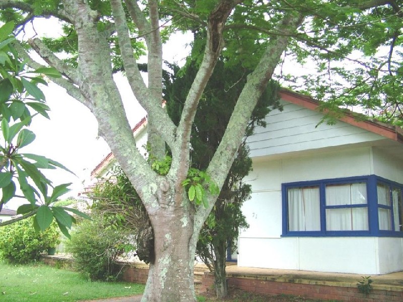 71 Shirley Street, Byron Bay NSW 2481