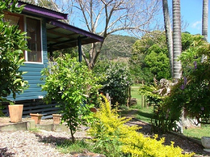 224 Sleepy Hollow Road, Sleepy Hollow NSW 2483