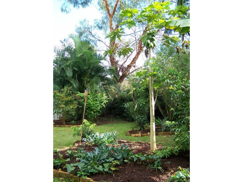 1 Riverside Drive, Mullumbimby NSW 2482