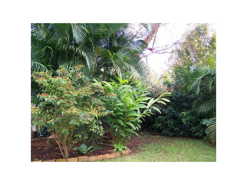 1 Riverside Drive, Mullumbimby NSW 2482