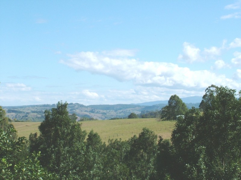 1313 Dunoon Rd, Dunoon NSW 2480