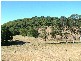 79 Burringbar St, Burringbar NSW 2483