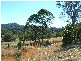 79 Burringbar St, Burringbar NSW 2483