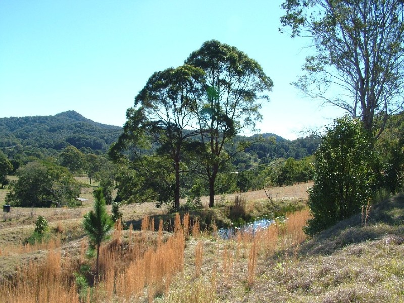 79 Burringbar St, Burringbar NSW 2483