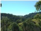 Lot 1 Upper Burringbar Rd, Burringbar NSW 2483