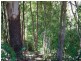 Lot 1 Upper Burringbar Rd, Burringbar NSW 2483