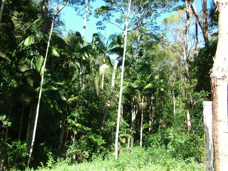 Lot 1 Upper Burringbar Rd, Burringbar NSW 2483