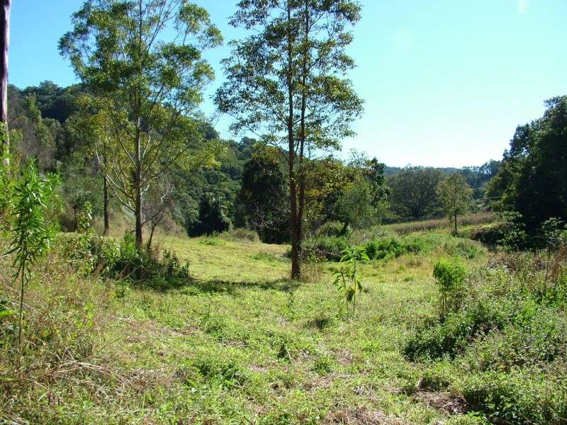 Lot 1 Upper Burringbar Rd, Burringbar NSW 2483