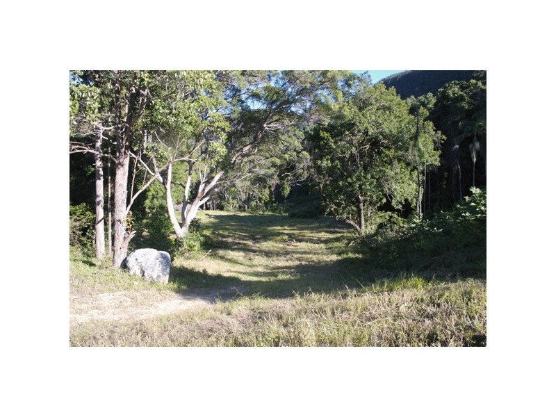 231 Frasers Rd, Mullumbimby NSW 2482