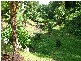 110 Geles Rd, Burringbar NSW 2483