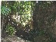 386 Upper Burringbar Rd, Burringbar NSW 2483