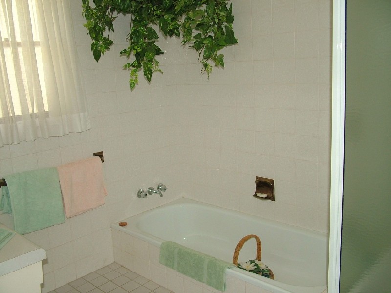 2 Fern Street, Mullumbimby NSW 2482