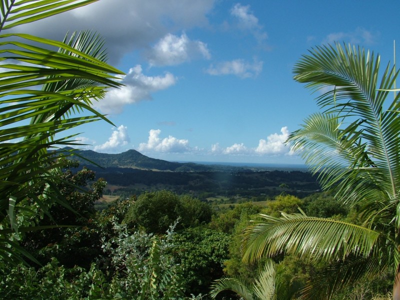 663 Left Bank Rd, Mullumbimby NSW 2482