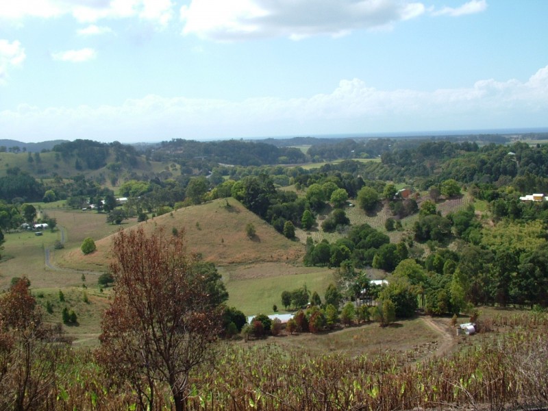 57 Crabbes Creek Road, Crabbes Creek NSW 2483