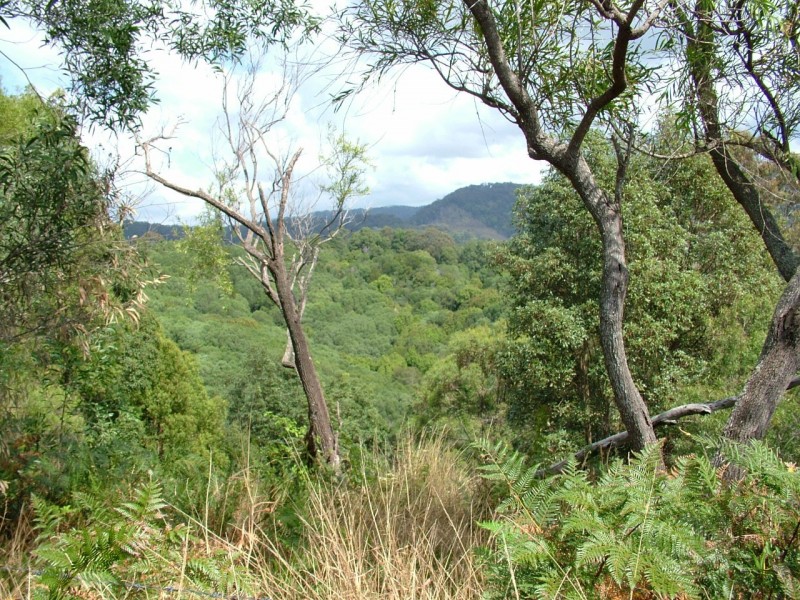 57 Crabbes Creek Road, Crabbes Creek NSW 2483