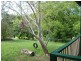 57 Crabbes Creek Road, Crabbes Creek NSW 2483