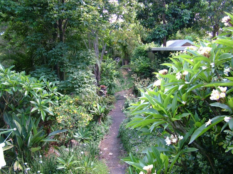 1313 Dunoon Road, Dunoon NSW 2480