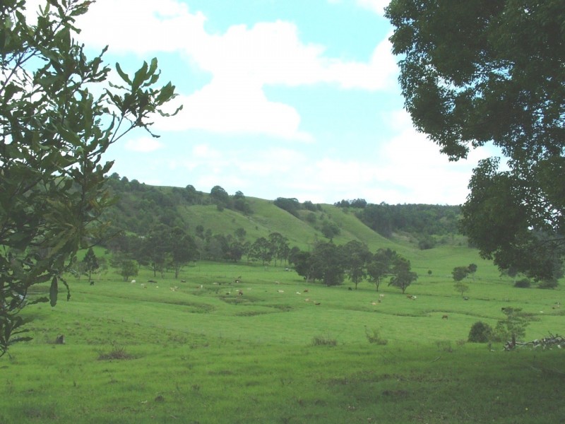 627 Myocum Rd, Myocum NSW 2481
