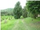 627 Myocum Rd, Myocum NSW 2481