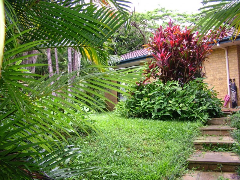 33 Azalea Ave, Mullumbimby NSW 2482