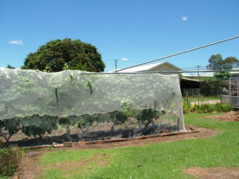 15 New City Rd, Mullumbimby NSW 2482