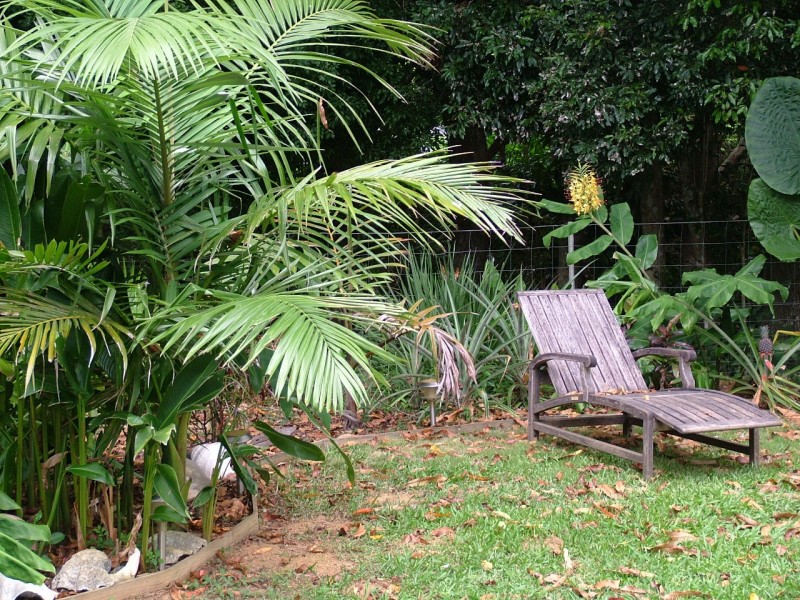 717 The Pocket Rd, Billinudgel NSW 2483