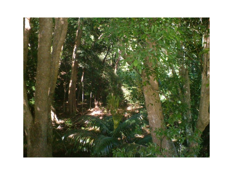 717 The Pocket Rd, Billinudgel NSW 2483