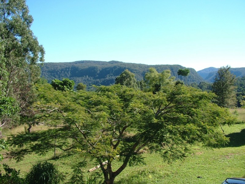 6 Tickles Road, Upper Coopers Creek NSW 2480