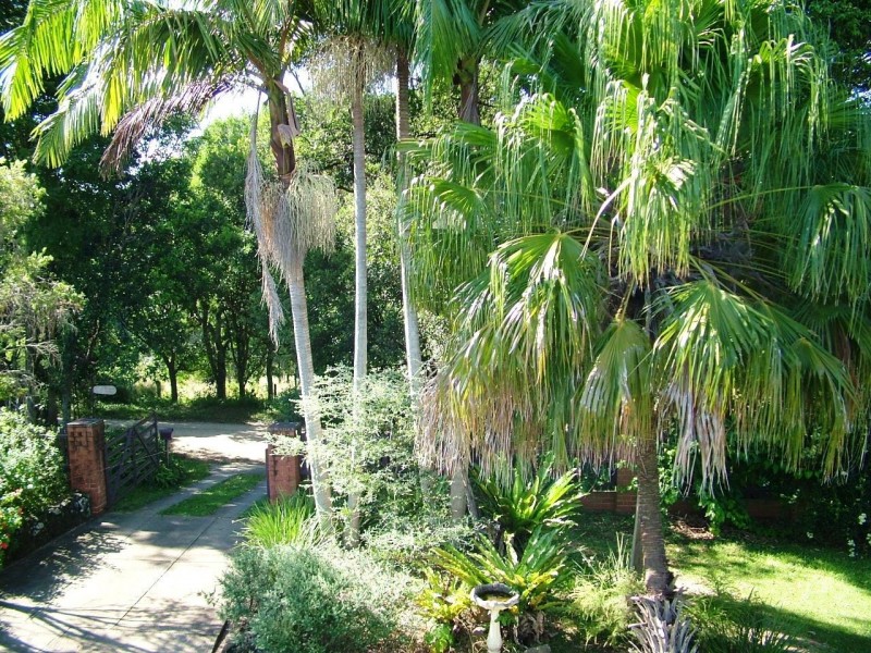 110 The Saddle Road, Mullumbimby NSW 2482