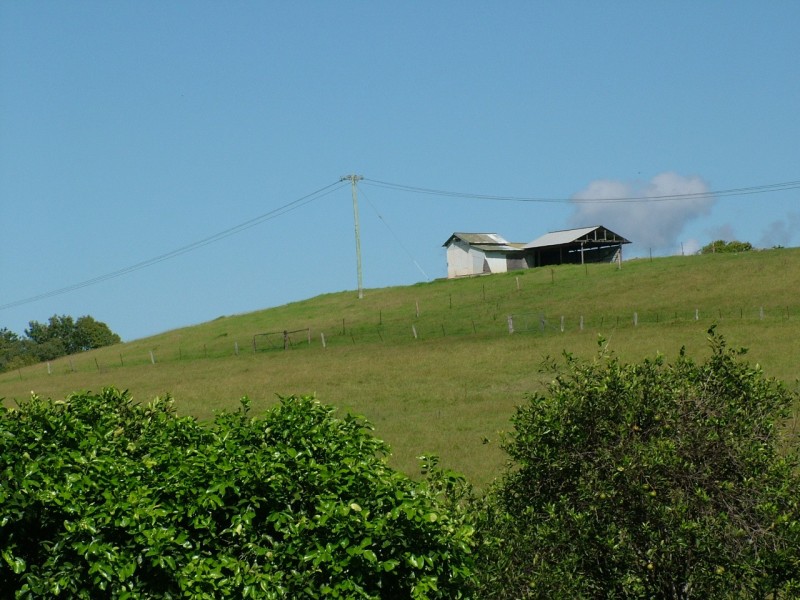 110 The Saddle Road, Mullumbimby NSW 2482