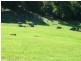 18 Left Bank Road, Mullumbimby NSW 2482